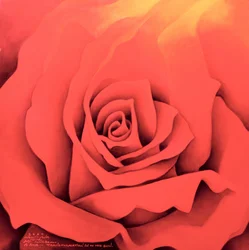 La Rosa en el Festival de la Luz, 2000